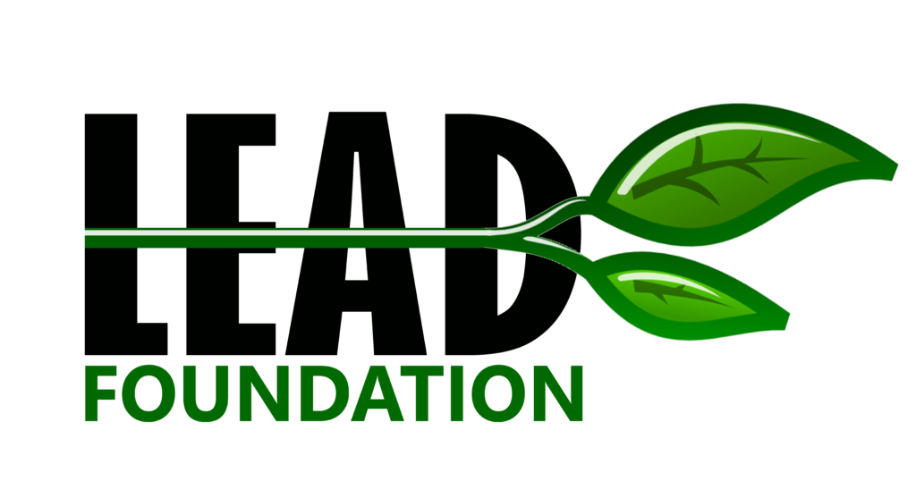 "LEAD Foundation logo featuring green leaves growing from a stem integrated with the foundation’s name."