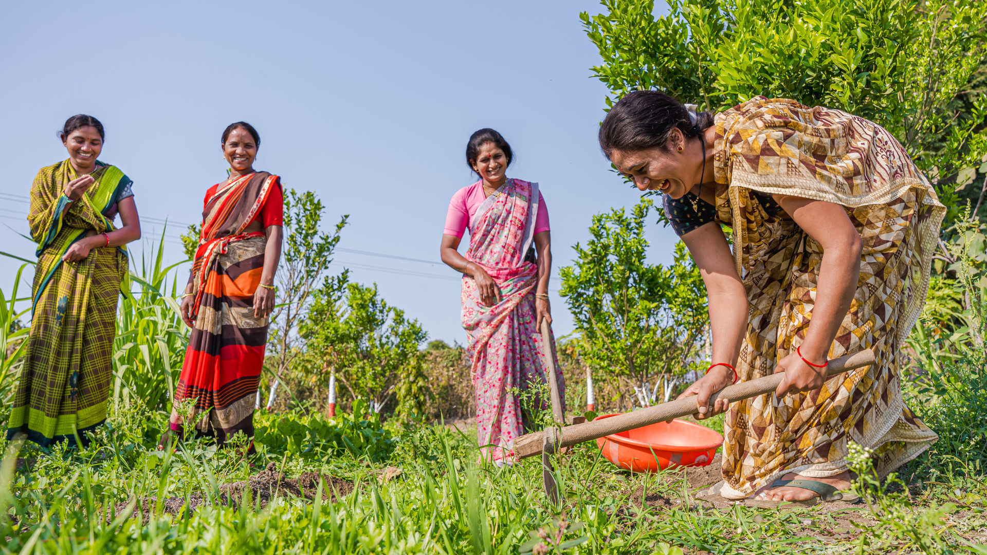 Four women in colorful saris work and smile in a green garden. One woman uses a hoe, while the others stand nearby amidst leafy plants.