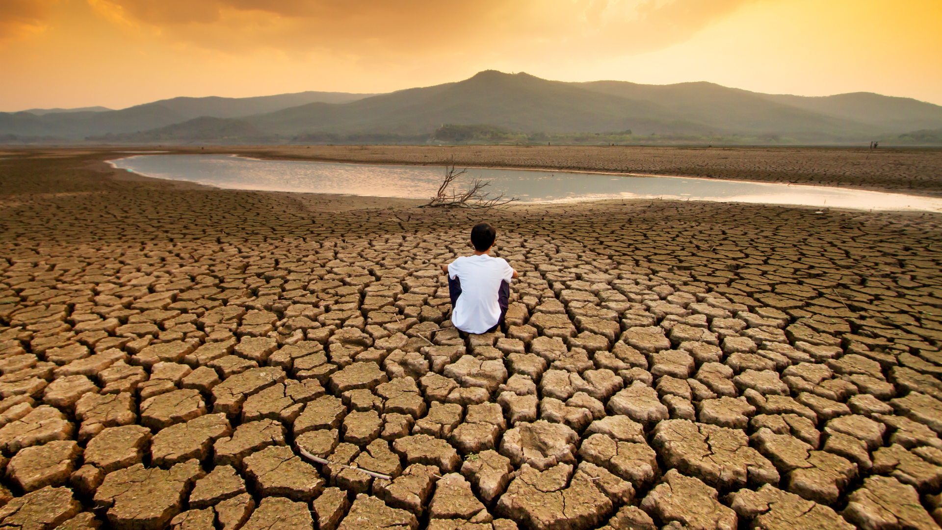 Person on cracked dry ground overlooking a dying river