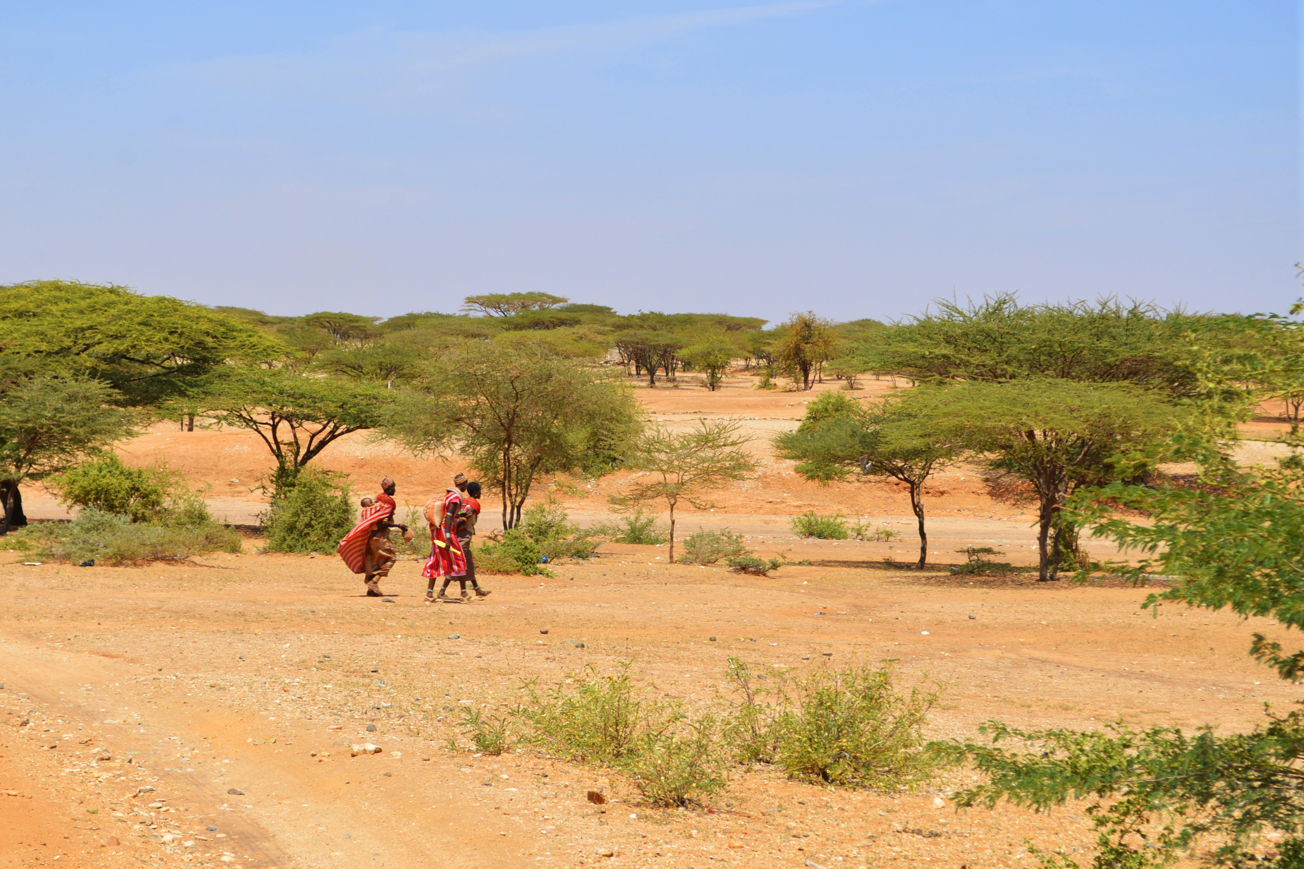 People walk in a dry, sparsely vegetated landscape.