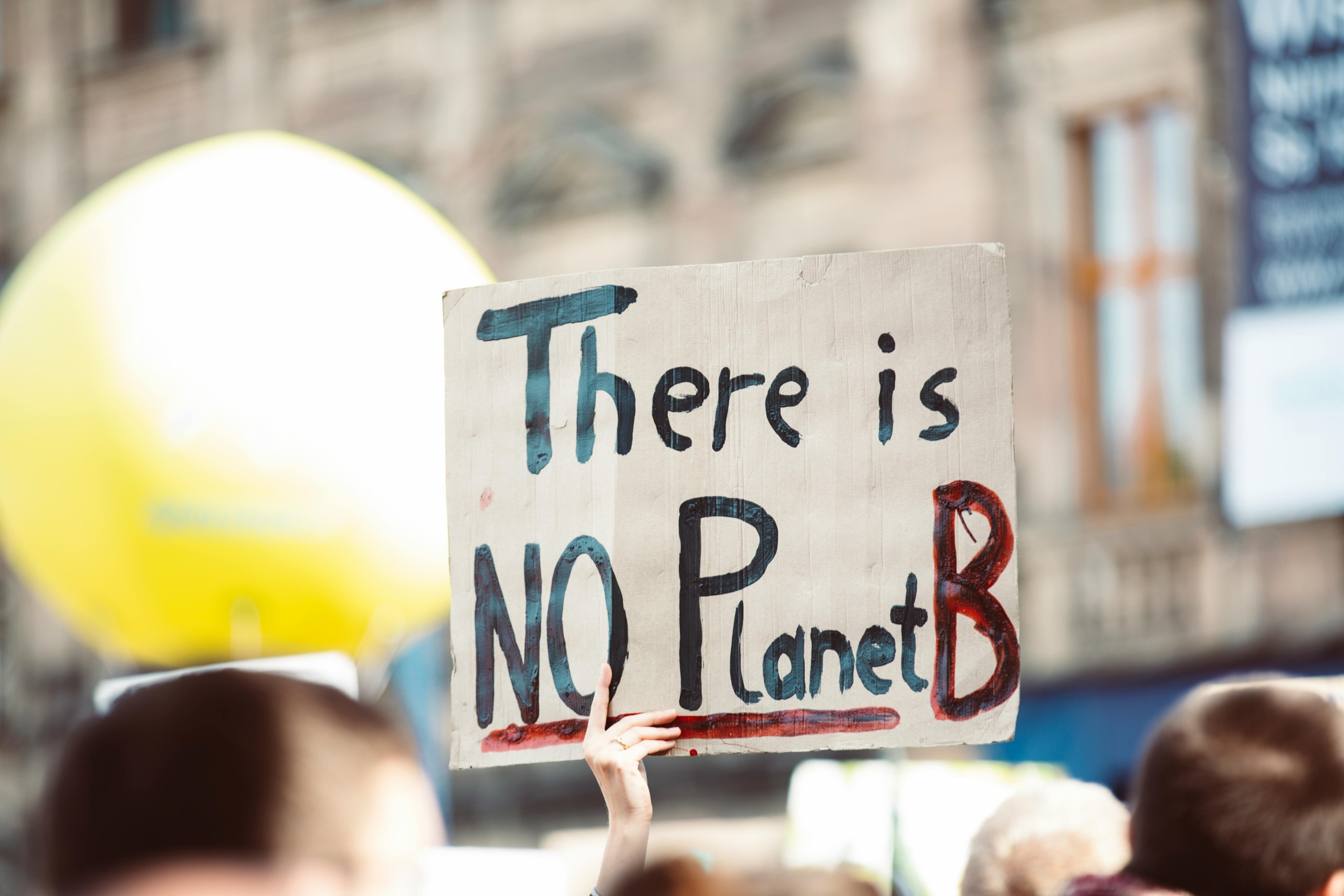 Protester holding a sign that reads 'There is NO Planet B' during a climate change demonstration