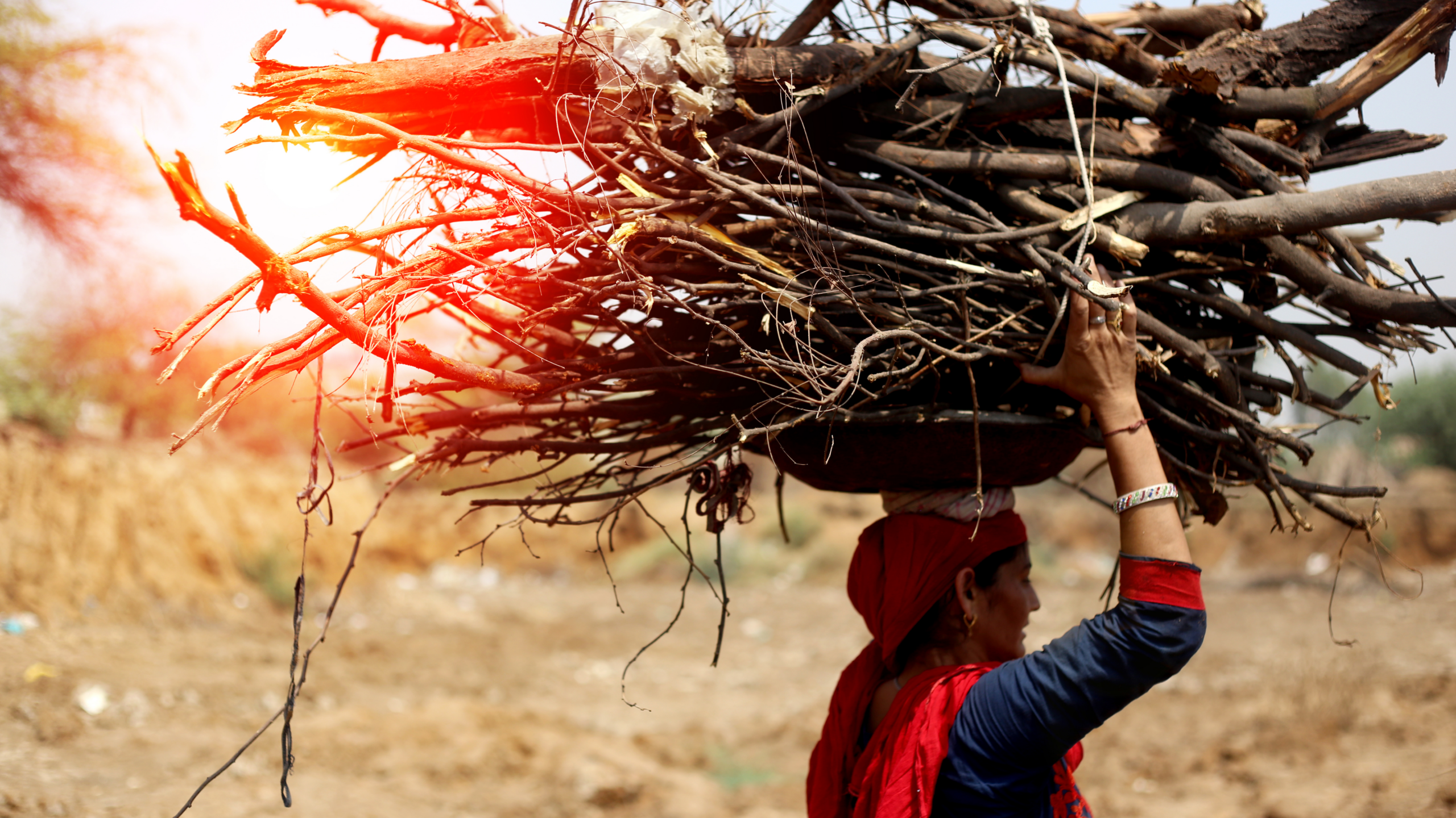 A woman wearing a red scarf and blue clothing carries a large bundle of firewood on her head, walking through a dry, rural landscape under the bright sun