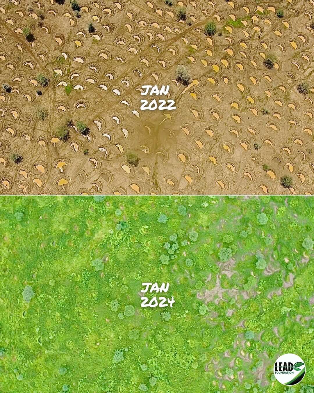 Extensive reforestation efforts, before and after between 2022 and 2024. 2022 half shows a brown, mostly arid land while 2024 shows a green, reforested land